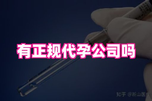 贵州助孕网站 3
